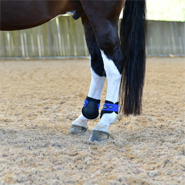 2025 WeatherBeeta Resistente-Tec Prime Protectores De Menudillo 1027509 - Black / Azul Real